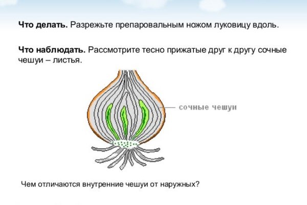 Что продает маркетплейс кракен