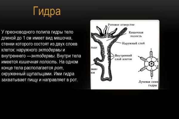 Кракен сайт официальный зеркало