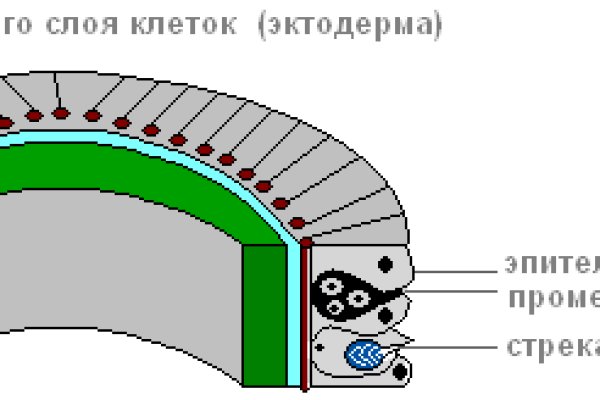 Кракен маркет что