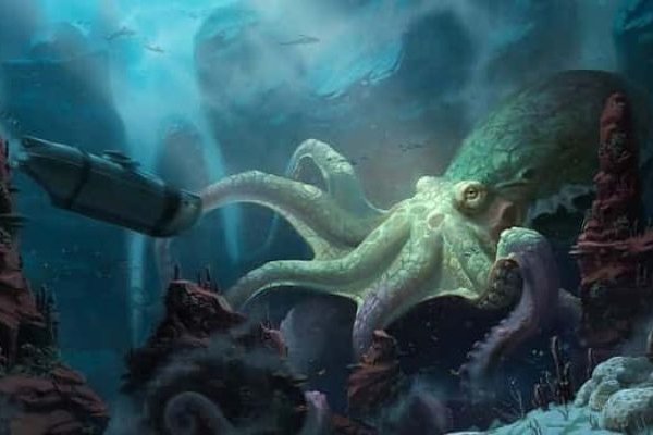 Kraken рабочий