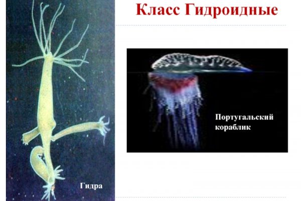 Что такое кракен сайт